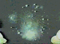 gif14.gif