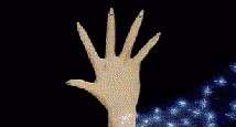 gif15.gif