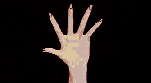 gif16.gif