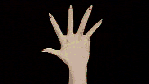gif.17gif
