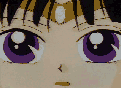 gif19.gif