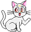gif62.gif