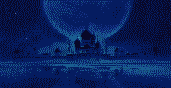 gif8.gif